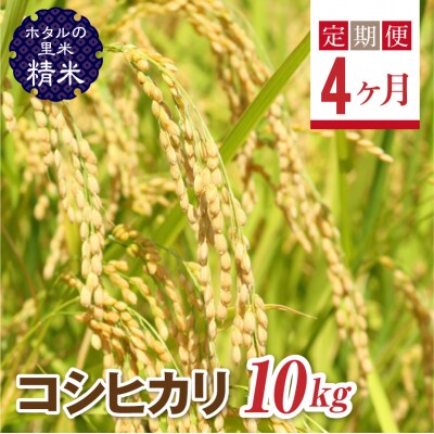 <定期便4ヶ月>【ホタルの里米】コシヒカリ精米10kg F4D-0673