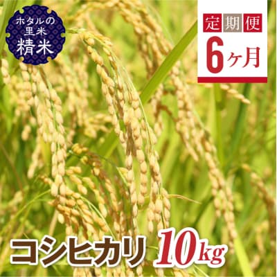<定期便6ヶ月>【ホタルの里米】コシヒカリ精米10kg F4D-1006