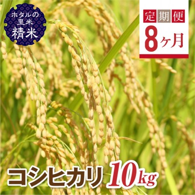 <定期便8ヶ月>【ホタルの里米】コシヒカリ精米10kg F4D-2298