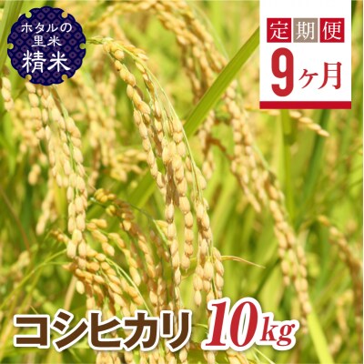 <定期便9ヶ月>【ホタルの里米】コシヒカリ精米10kg F4D-0678