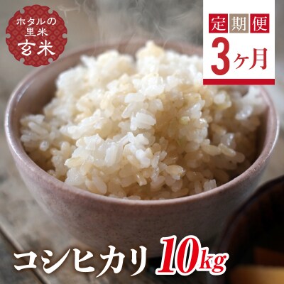 <定期便3ヶ月>【ホタルの里米】栽培期間中、農薬を減らした栽培米 コシヒカリ玄米10kg
