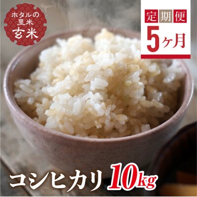 <定期便5ヶ月>【ホタルの里米】コシヒカリ玄米10kg F4D-2307