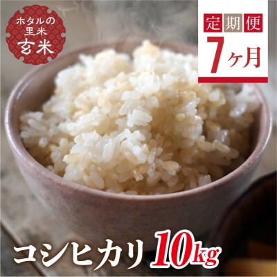 <定期便7ヶ月>【ホタルの里米】コシヒカリ玄米10kg F4D-0687