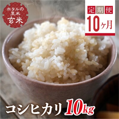 <定期便10ヶ月>【ホタルの里米】コシヒカリ玄米10kg F4D-2312