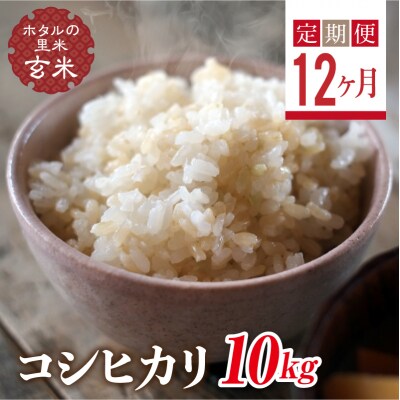 <定期便12ヶ月>【ホタルの里米】コシヒカリ玄米10kg F4D-2314