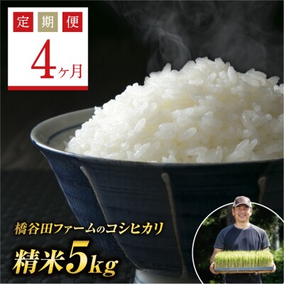《定期便4ヶ月》減農薬・有機肥料栽培 西会津産米コシヒカリ 精米 5kg F4D-2186