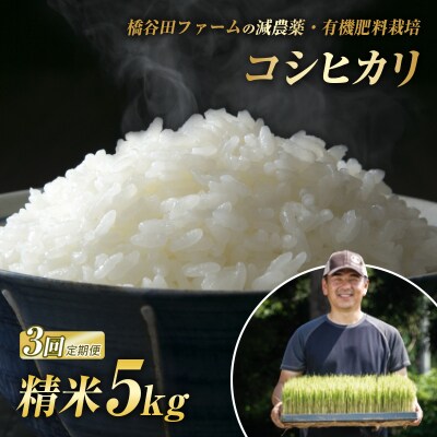 <定期便3ヶ月>減農薬・有機肥料栽培 西会津産米 コシヒカリ 精米 5kg F4D-2473