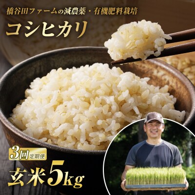 <定期便3ヶ月>減農薬・有機肥料栽培 西会津産米 コシヒカリ 玄米 5kg F4D-2489