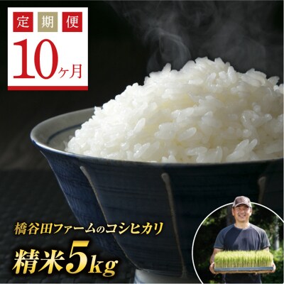 《定期便10ヶ月》栽培期間中減農薬・有機肥料栽培 西会津産米コシヒカリ 精米5kg F4D-1198