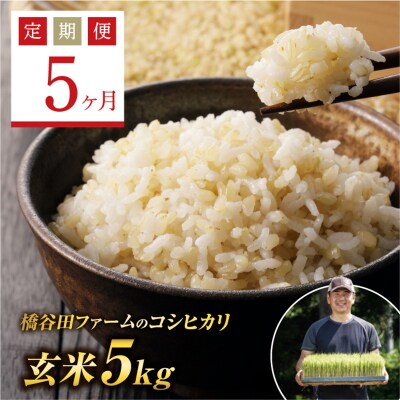 《定期便5ヶ月》減農薬・有機肥料栽培 西会津産米コシヒカリ 玄米 5kg F4D-2199
