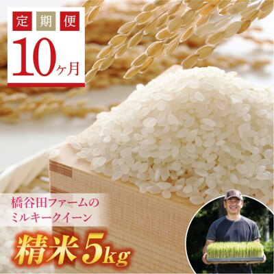 《定期便10ヶ月》 栽培期間中、減農薬・減化学肥料栽培 西会津産米 ミルキークイーン 精米 5kg