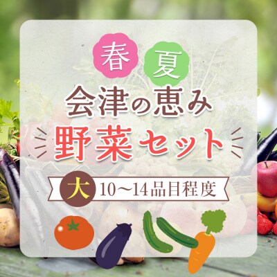 春夏の会津発季節の野菜だより (大) F4D-1408