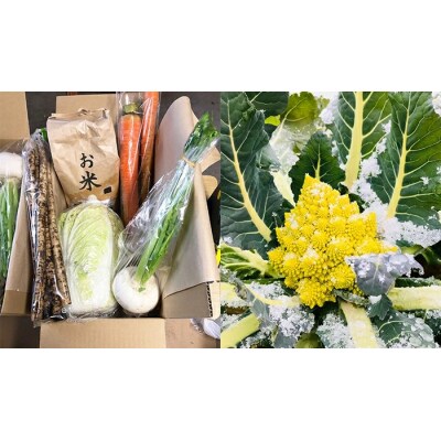 西会津ミネラル元氣米+秋・冬野菜セット(小) F4D-0125