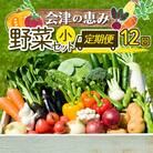 3市町村共通返礼品「会津の恵み野菜セット」(小)定期便 12回 F4D-1413