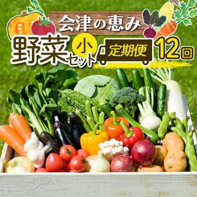 3市町村共通返礼品「会津の恵み野菜セット」(小)定期便 12回 F4D-1413
