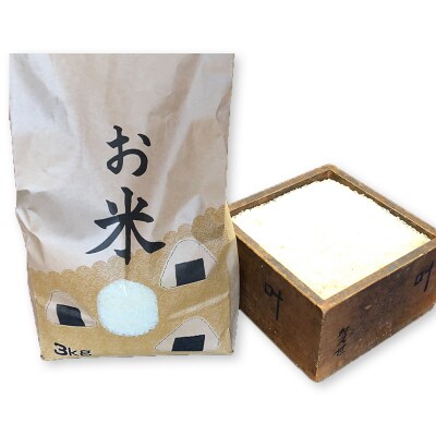 3市町村共通返礼品「会津の恵み野菜セット」(大)定期便 3回 F4D-1414