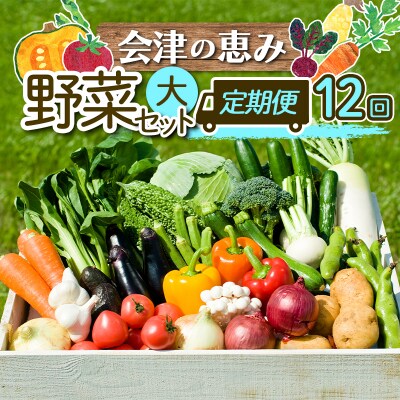 3市町村共通返礼品「会津の恵み野菜セット」(大)定期便 12回 F4D-0506