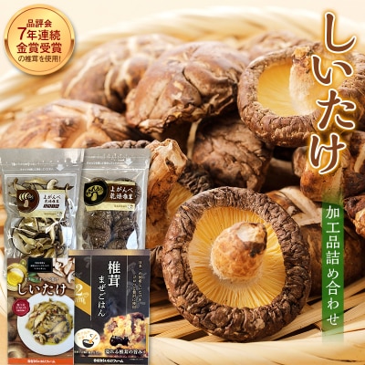 しいたけ加工品詰め合わせ F4D-0539