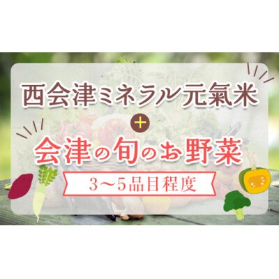 秋冬の会津発季節の野菜だより (小) F4D-1409
