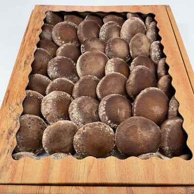 《数量限定》 2026年秋発送!贈答用 会津の恵み 生しいたけ1kg  F4D-2264