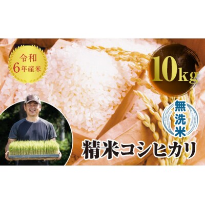 令和6年産 JAS認定 有機栽培米 コシヒカリ 無洗米 10kg(5kg × 2) F4D-1584