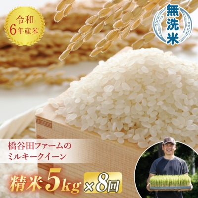 《定期便8ヶ月》【先行受付】 令和6年産米 ミルキークイーン 無洗米 5kg F4D-0879