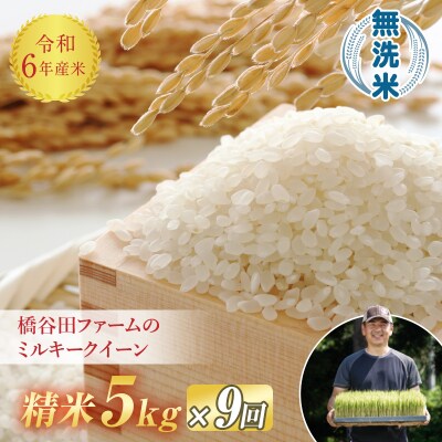 《定期便9ヶ月》【先行受付】 令和6年産米 ミルキークイーン 無洗米 5kg F4D-0880