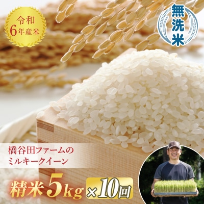 《定期便10ヶ月》【先行受付】令和6年産米 ミルキークイーン 無洗米 5kg F4D-0881