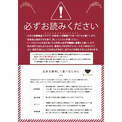 《定期便10ヶ月》【先行受付】令和6年産米 ミルキークイーン 無洗米 5kg F4D-0881