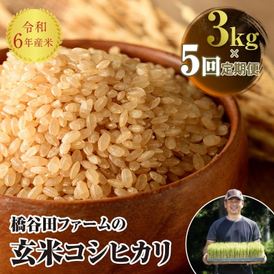 《定期便5ヶ月》 令和6年産米 西会津産米 コシヒカリ 玄米 3kg F4D-1594