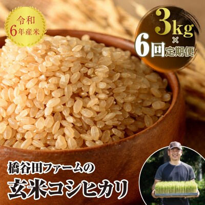 《定期便6ヶ月》 令和6年産米 西会津産米 コシヒカリ 玄米 3kg F4D-1595