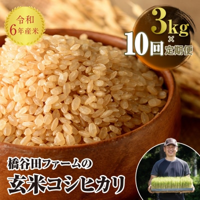 《定期便10ヶ月》 令和6年産米 西会津産米 コシヒカリ 玄米 3kg F4D-1264