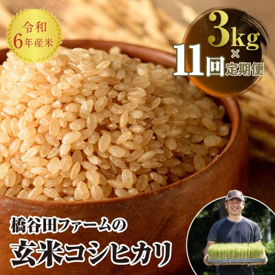 《定期便11ヶ月》 令和6年産米 西会津産米 コシヒカリ 玄米 3kg F4D-1265