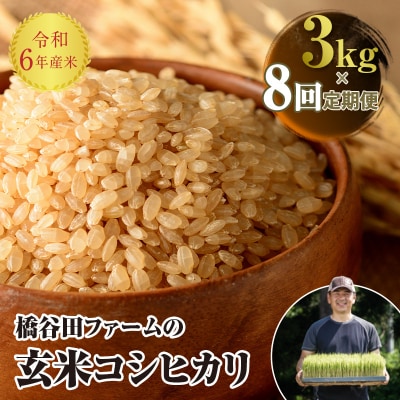 《定期便8ヶ月》 令和6年産米 西会津産米 コシヒカリ 玄米 3kg F4D-1262