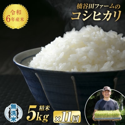 《定期便11ヶ月》 令和6年産米 西会津産米「コシヒカリ」無洗米 5kg F4D-1221