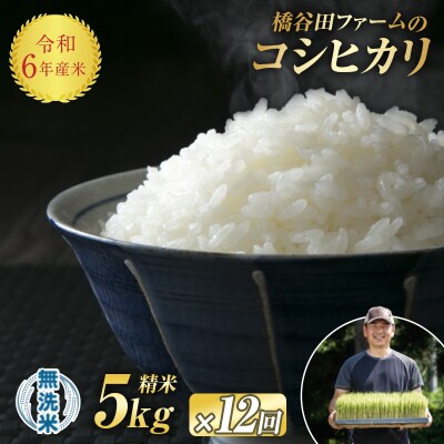 《定期便12ヶ月》 令和6年産米 西会津産米「コシヒカリ」無洗米 5kg F4D-1222
