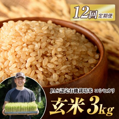 <定期便12ヶ月> JAS認定 有機栽培米 西会津産米コシヒカリ 玄米 3kg F4D-2090