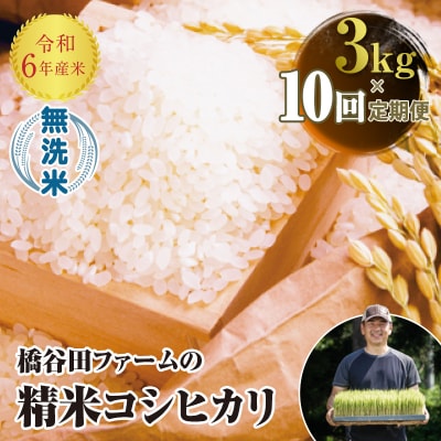 《定期便10ヶ月》 西会津産米 コシヒカリ 無洗米 3kg F4D-1275