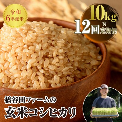 《定期便12ヶ月》 西会津産米 コシヒカリ 玄米 10kg(5kg × 2) F4D-1332