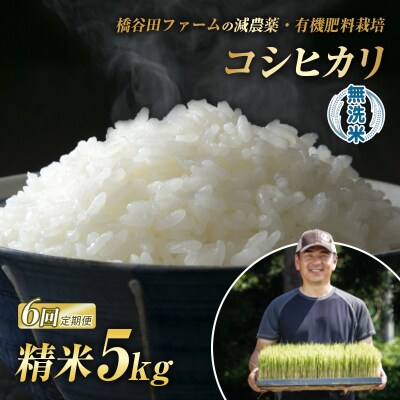 《定期便6ヶ月》減農薬・有機肥料栽培 西会津産米コシヒカリ 無洗米 5kg F4D-2194