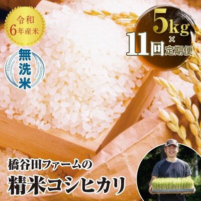 《定期便11ヶ月》 西会津産米 コシヒカリ 無洗米 5kg F4D-1309