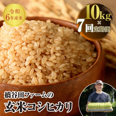 《定期便7ヶ月》 西会津産米 コシヒカリ 玄米 10kg(5kg × 2) F4D-1327