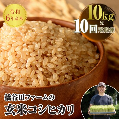 《定期便10ヶ月》 西会津産米 コシヒカリ 玄米 10kg(5kg × 2) F4D-1330