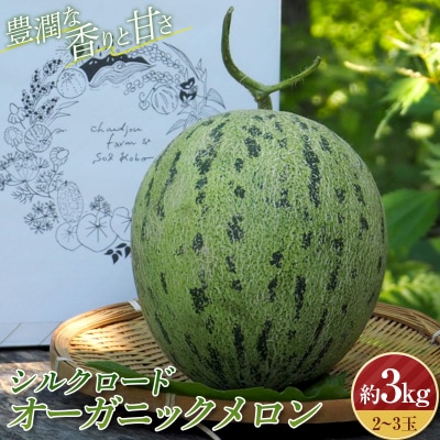 《先行受付》シルクロードオーガニックメロン 約3kg(2～3玉入) F4D-0006