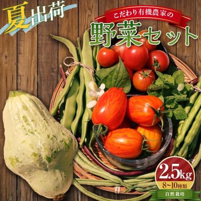 《先行受付》<夏出荷>こだわり有機農家の野菜セット 2.5kg(8～10種類) F4D-0130