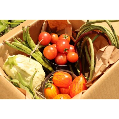 《先行受付》<夏出荷>こだわり有機農家の野菜セット 2.5kg(8～10種類) F4D-0130