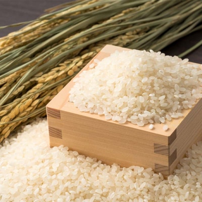 令和7年産米 西会津産米 至福米コシヒカリ 精米 5kg F4D-2139