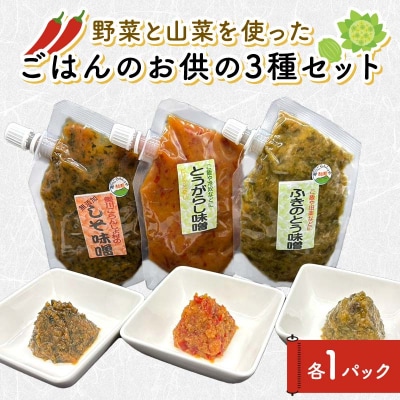 野菜と山菜を使ったごはんのお供の3種セット ごはん 野菜 山菜 西会津 F4D-1679