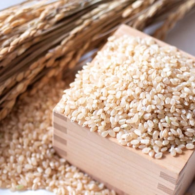 <定期便2ヶ月> 西会津産米 至福米コシヒカリ 玄米 2kg F4D-2122