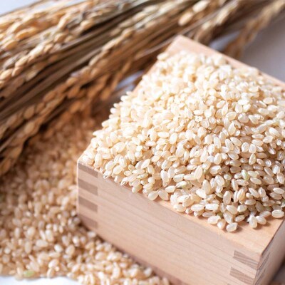 <定期便3ヶ月> 西会津産米 至福米コシヒカリ 玄米 2kg F4D-2123